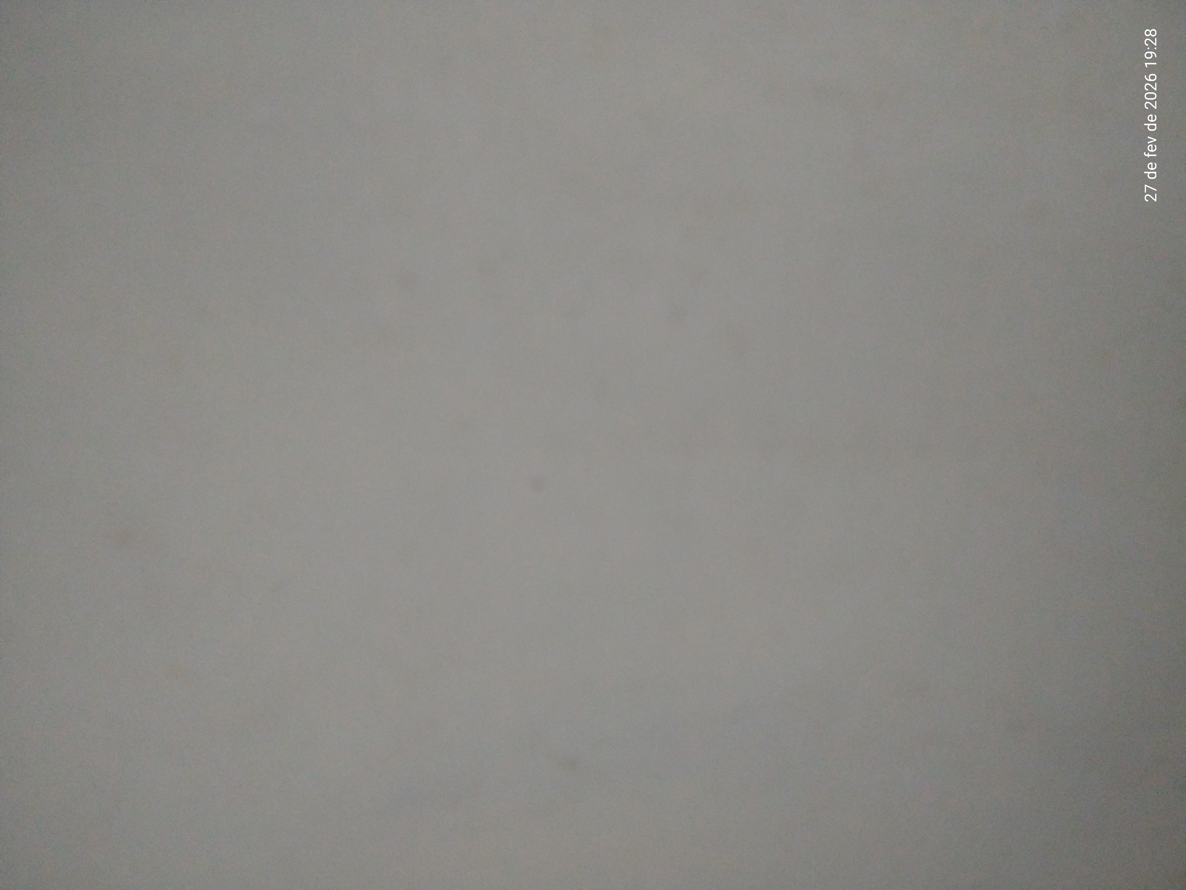 Vinícius Emílio Pedrozo 